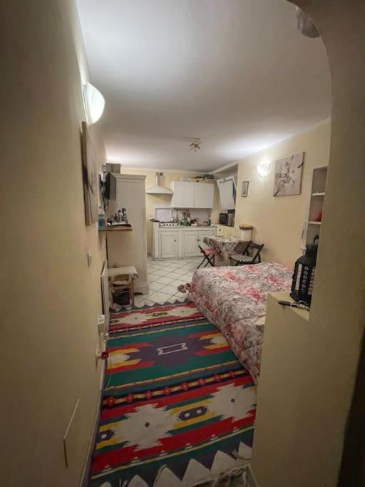 Monolocale Carino Leilighet Firenze Eksteriør bilde